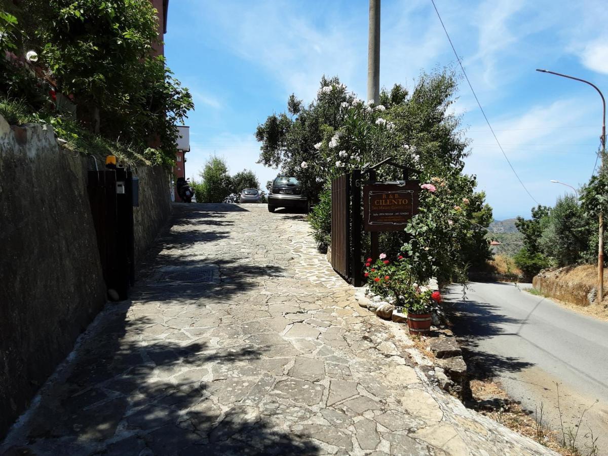 Cilento Bed and Breakfast San Mauro Cilento Exteriör bild