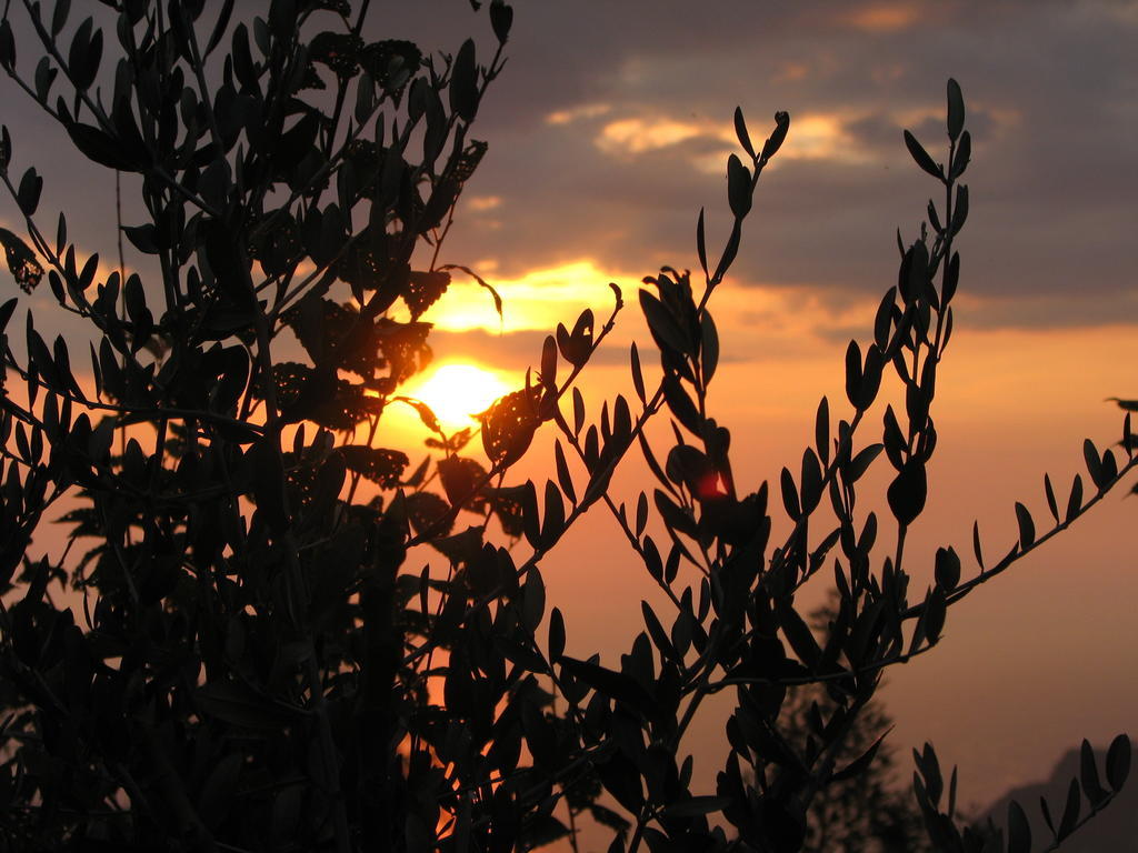 Cilento Bed and Breakfast San Mauro Cilento Exteriör bild