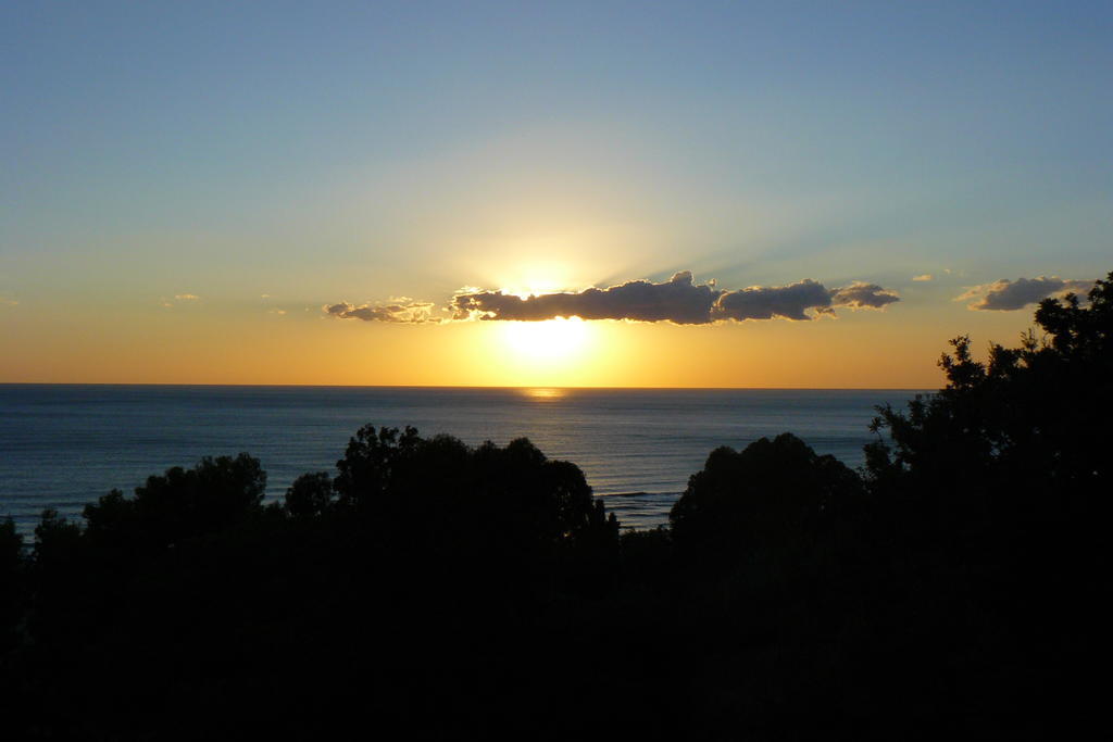 Cilento Bed and Breakfast San Mauro Cilento Exteriör bild